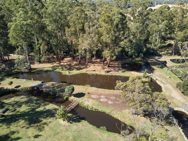 Buxton Trout and Salmon Farm Come fishing in the Murrindindi Shire Mountain Ranges